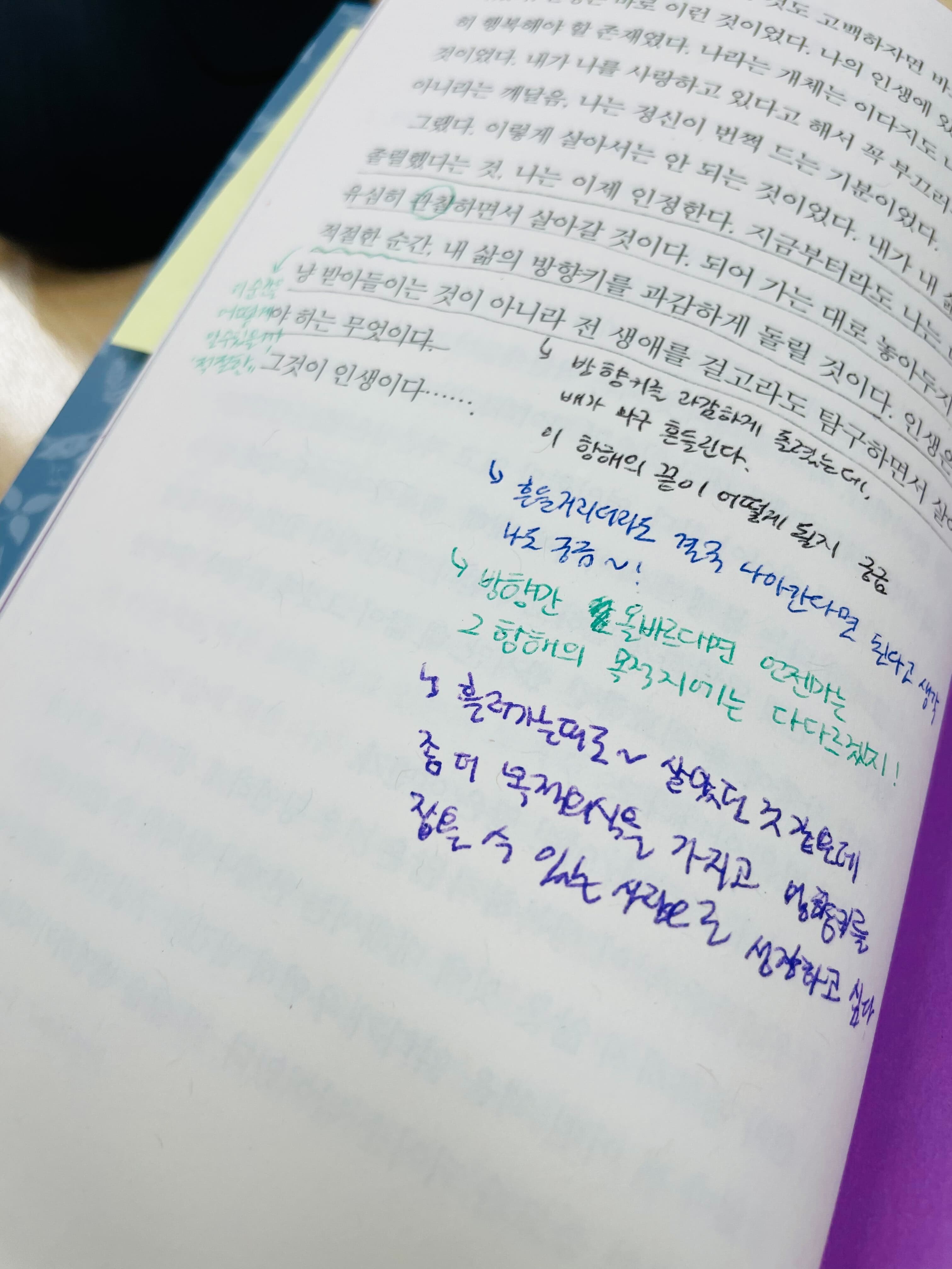 생각의 꼬리